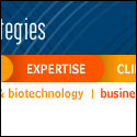 Infotech Strategies